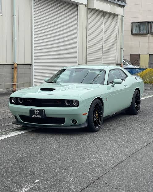 CN 07 . COVRING . 1.52×18M🇨🇳🇨🇳🇨🇳