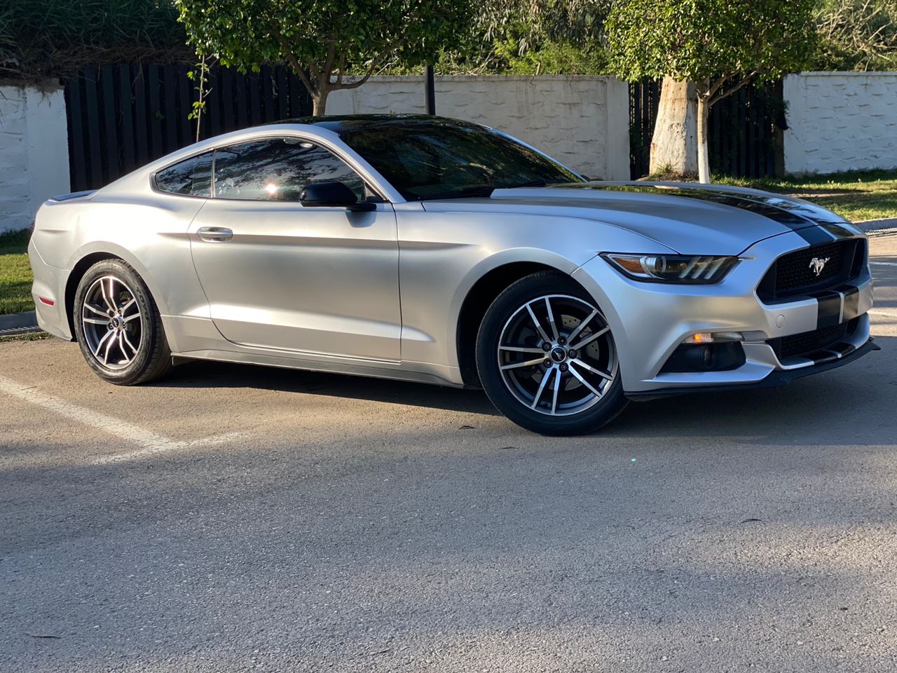 CN . COUVRING . 1.52×18M🇨🇳🇨🇳🇨🇳