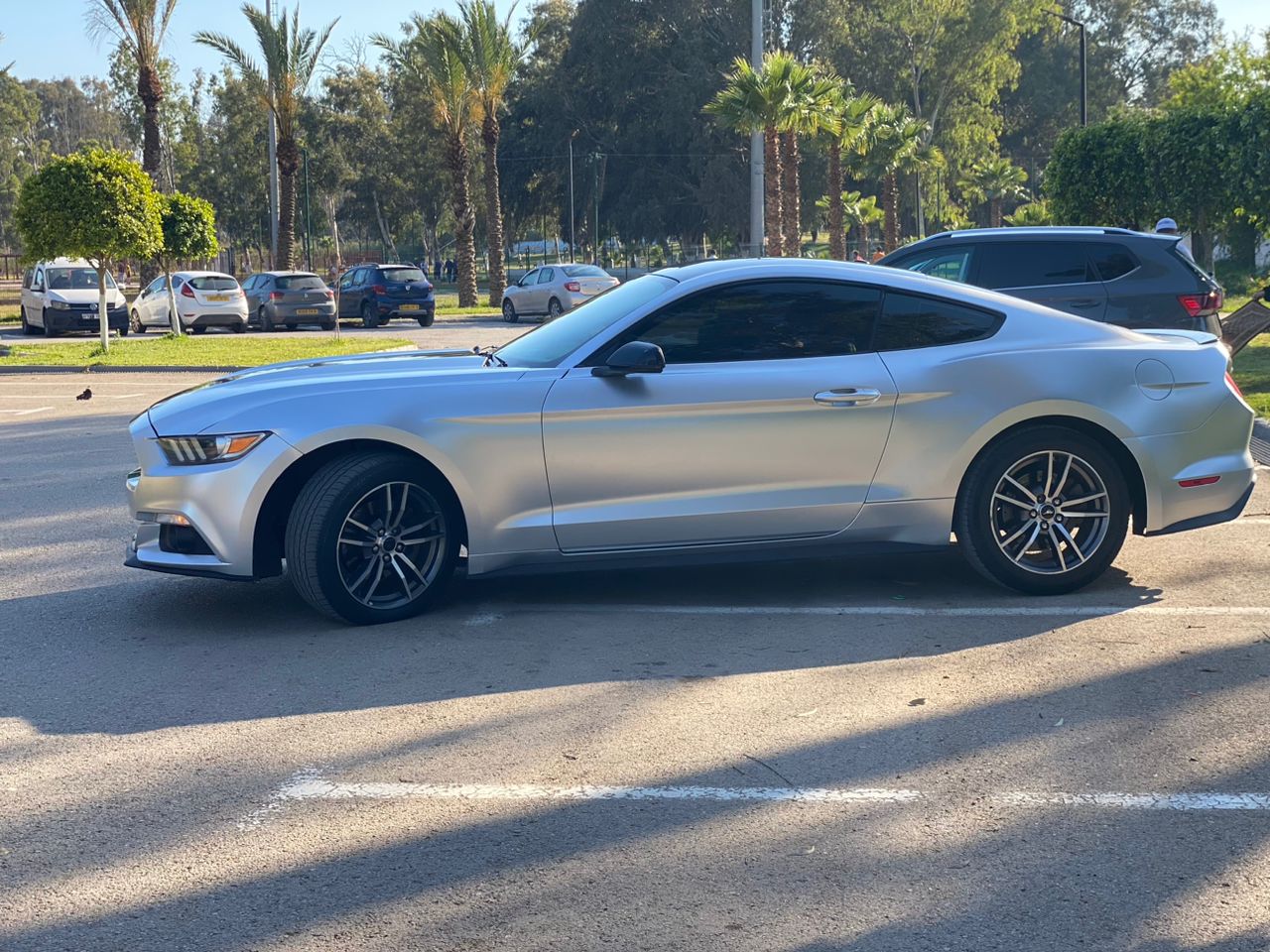 CN . COUVRING . 1.52×18M🇨🇳🇨🇳🇨🇳