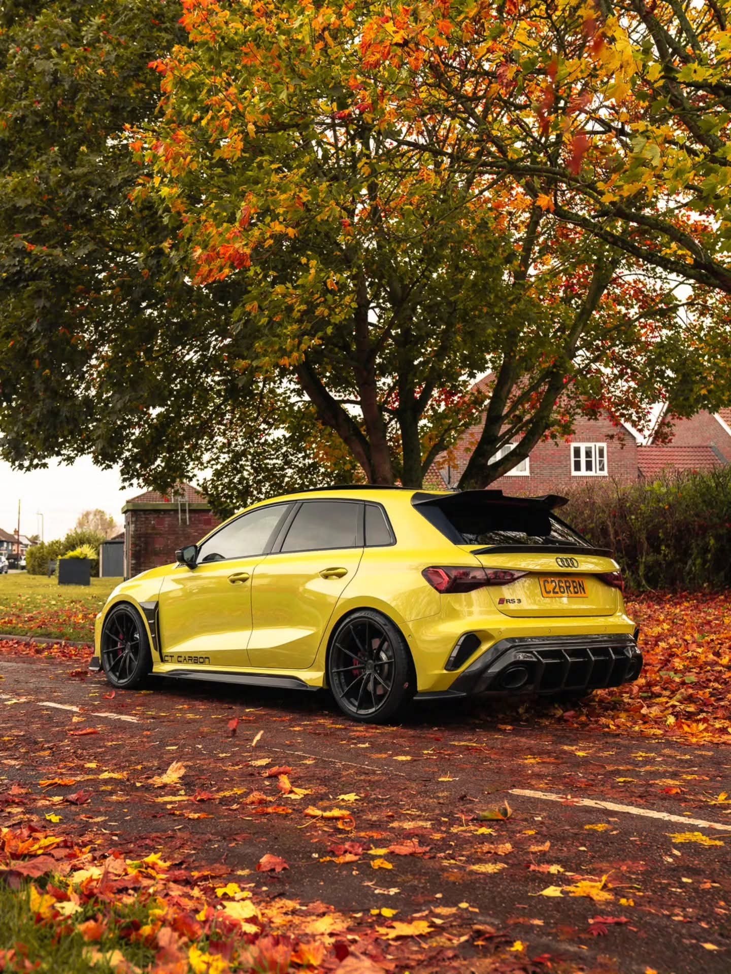 TOPSEE . WARP . Glossy