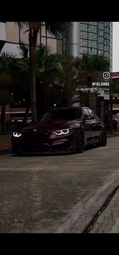 Vinyl . Frog . WARP . 🇺🇸🇺🇸