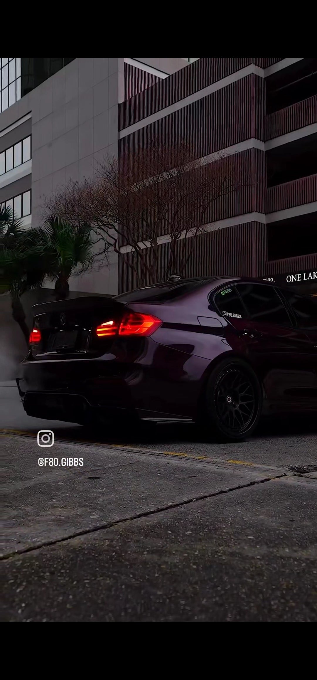 Vinyl . Frog . WARP . 🇺🇸🇺🇸