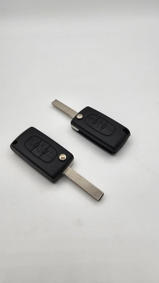 Car . B9 . 207 . 3B .