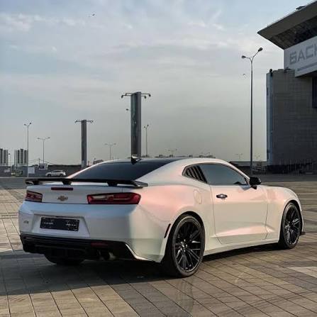 TOPSEE . WARP . GLOSSY