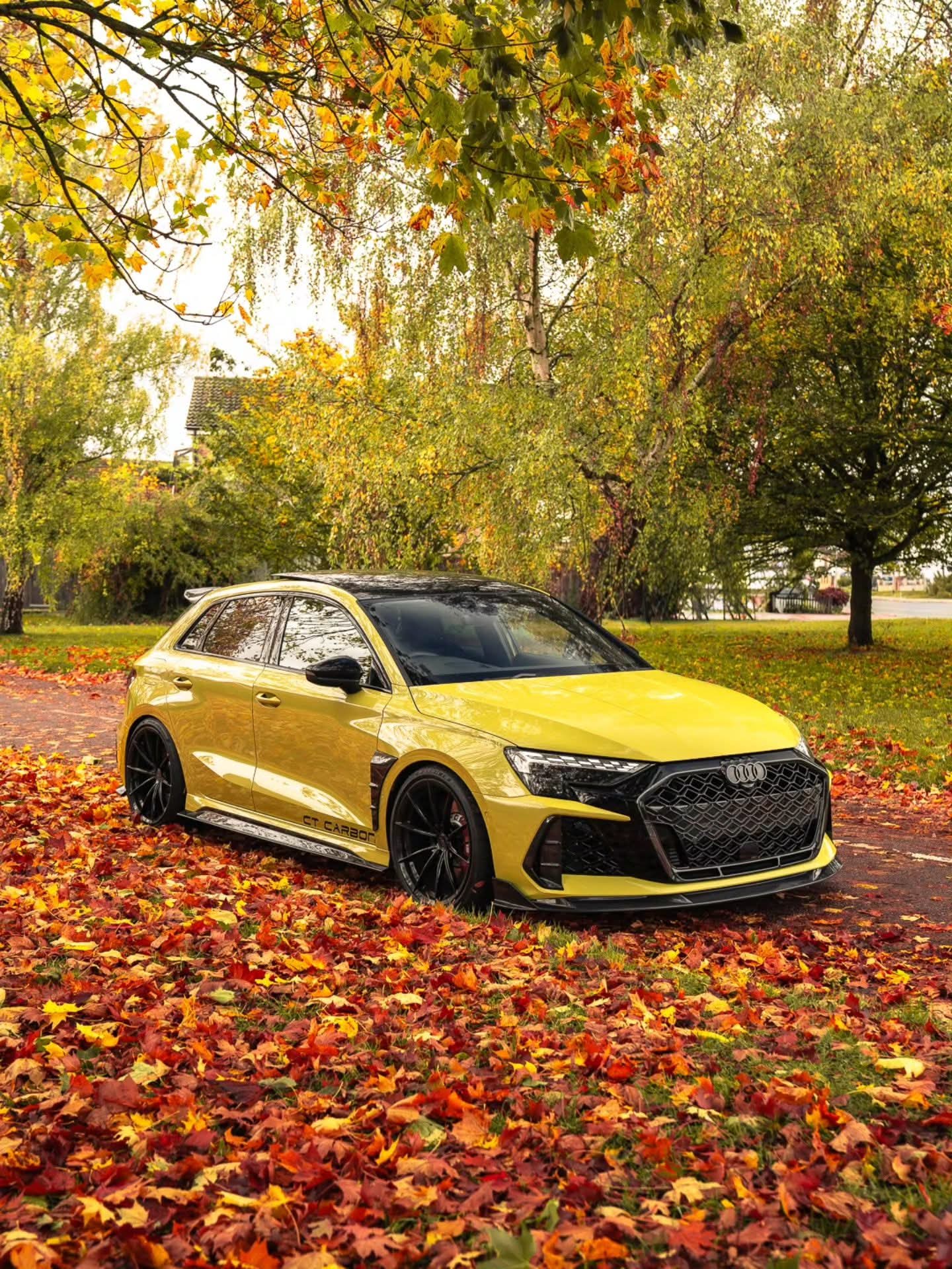 TOPSEE . WARP . Glossy