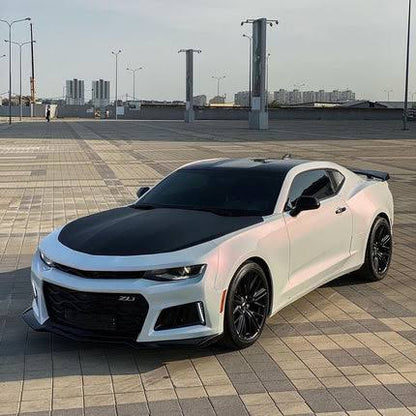 TOPSEE . WARP . GLOSSY